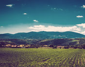 24小时轰炸对方的电话